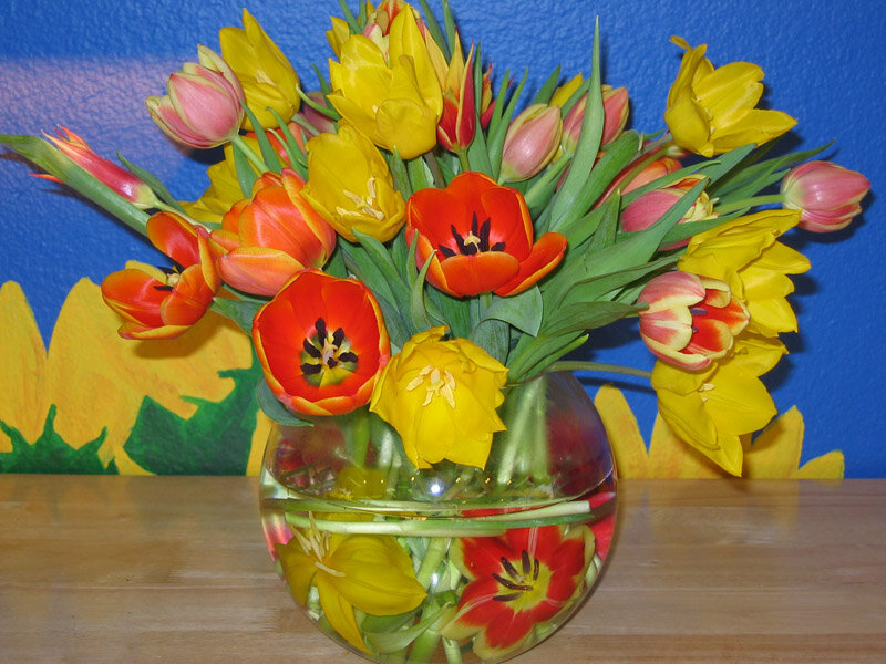Tulip Bouquet in Vase — Yellow, Bright, Spring