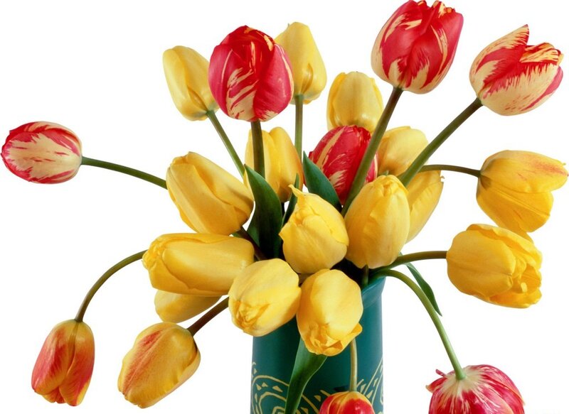 Tulip Bouquet in Vase — Yellow, Bright