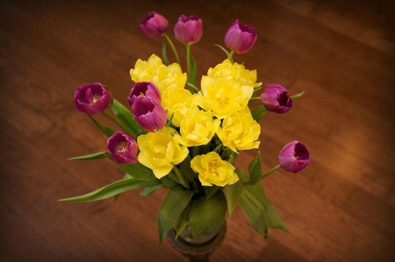 Tulip Bouquet in Vase — Yellow, Calm, Photograph