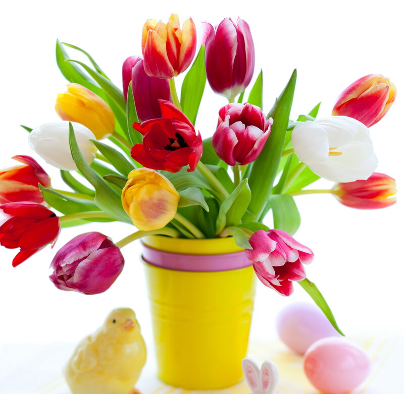 Tulip Bouquet in Vase — Yellow, Festive