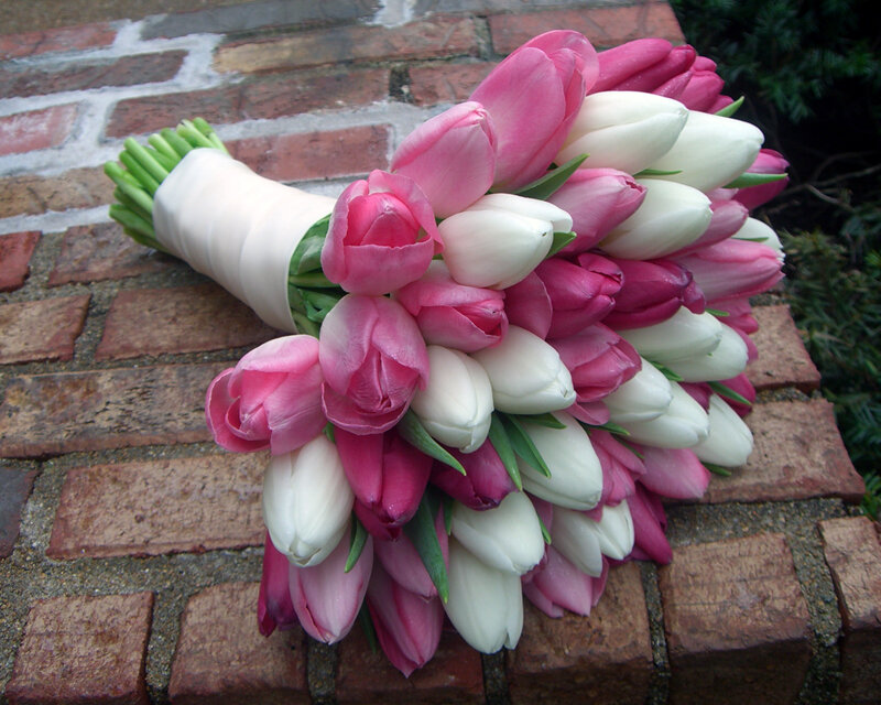Tulip Bouquet on Brick
