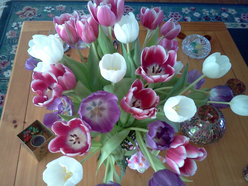 Tulip Bouquet on Table — Pink, Calm