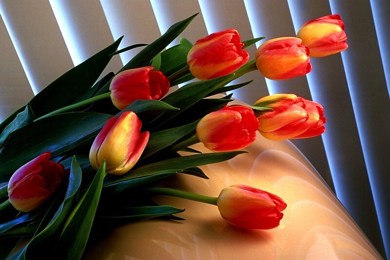 Tulip Bouquet on Table