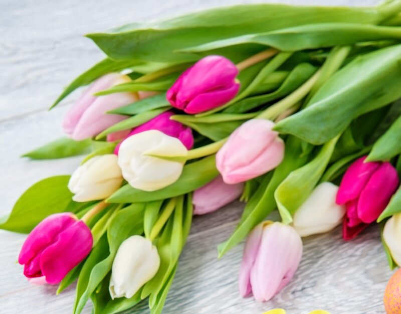 Tulip Bouquet on Wood