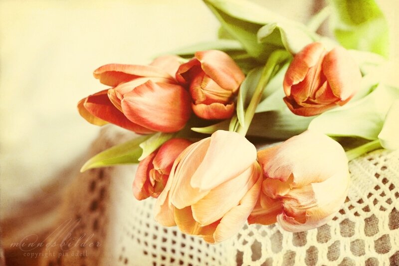 Tulip Bouquet — Pink