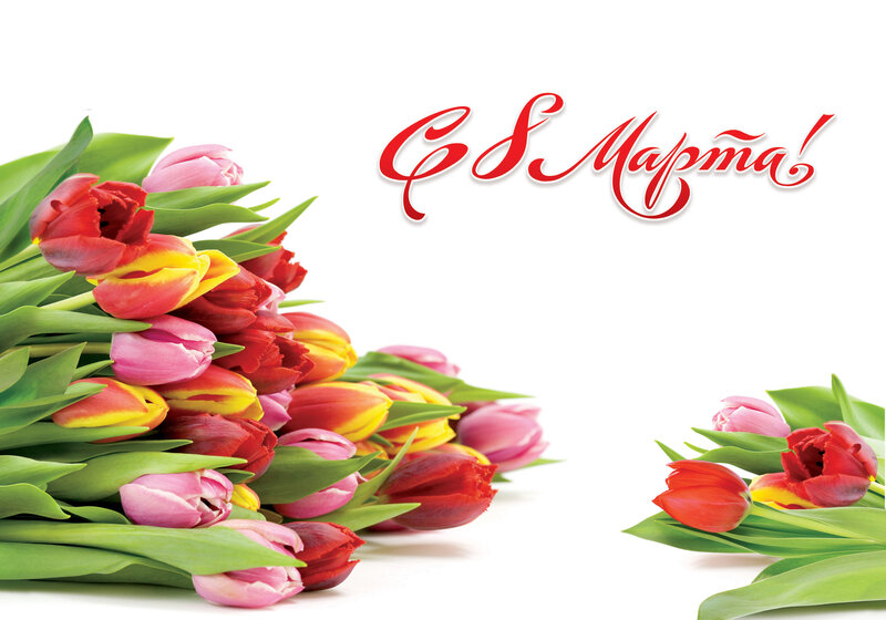 Tulip Bouquet — Red, Festive