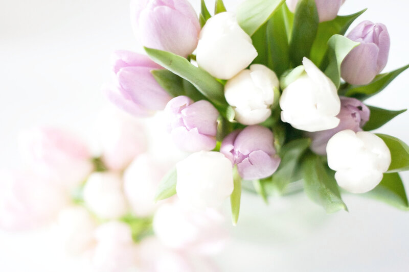 Tulip Bouquet — White, Serene