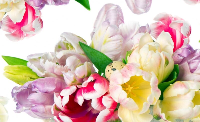 Tulip Bouquet with Egg