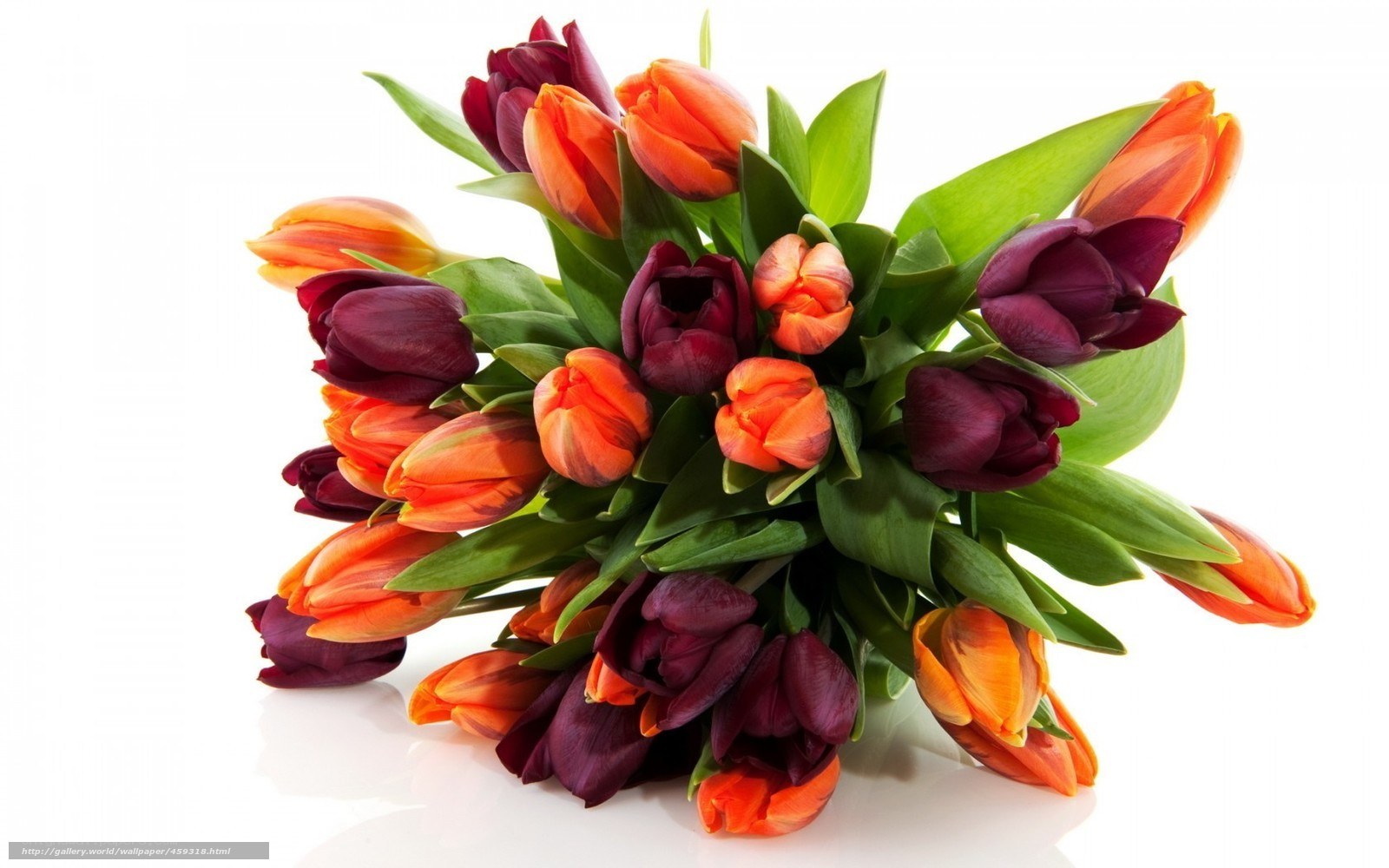 tulip bouquet with green leaves