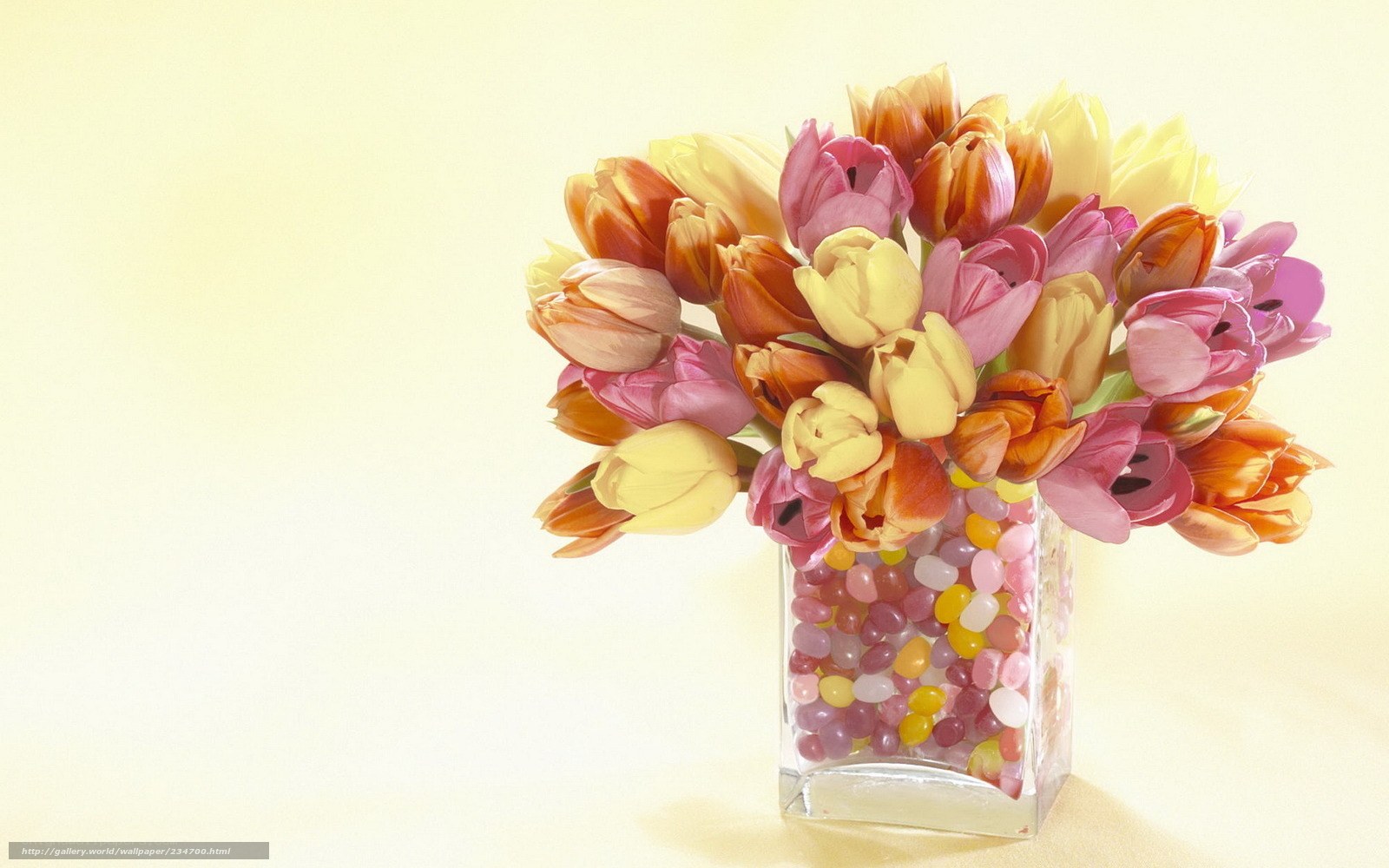 tulip bouquet with jelly beans