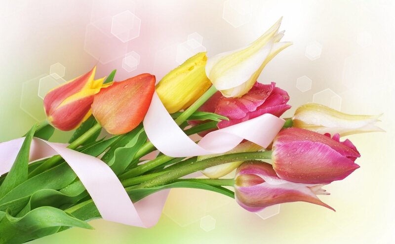 Tulip Bouquet with Ribbon — Pink