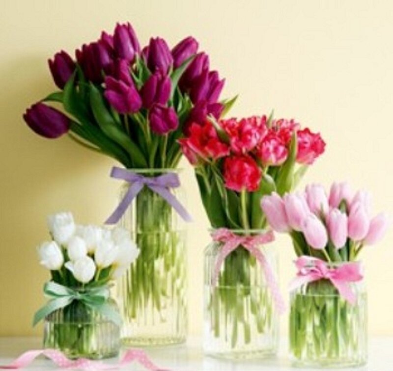 Tulip Bouquets in Vases