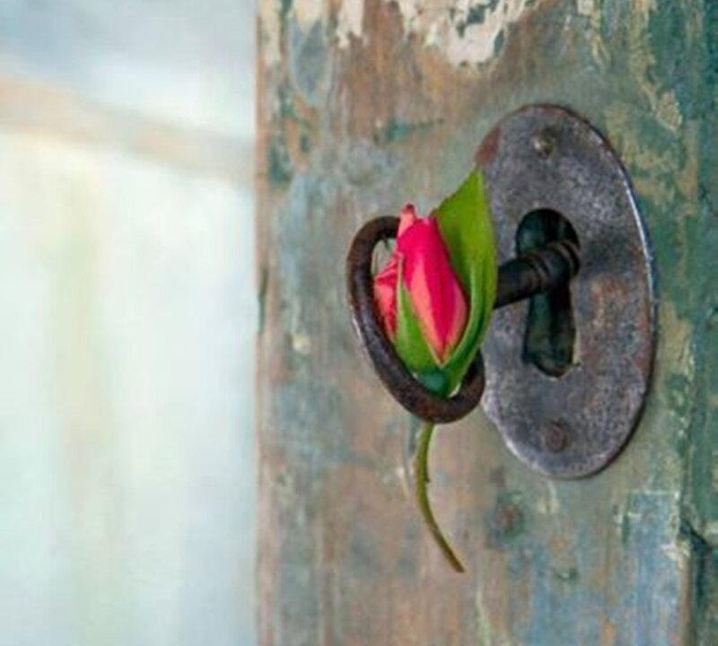 Tulip Bud in Keyhole