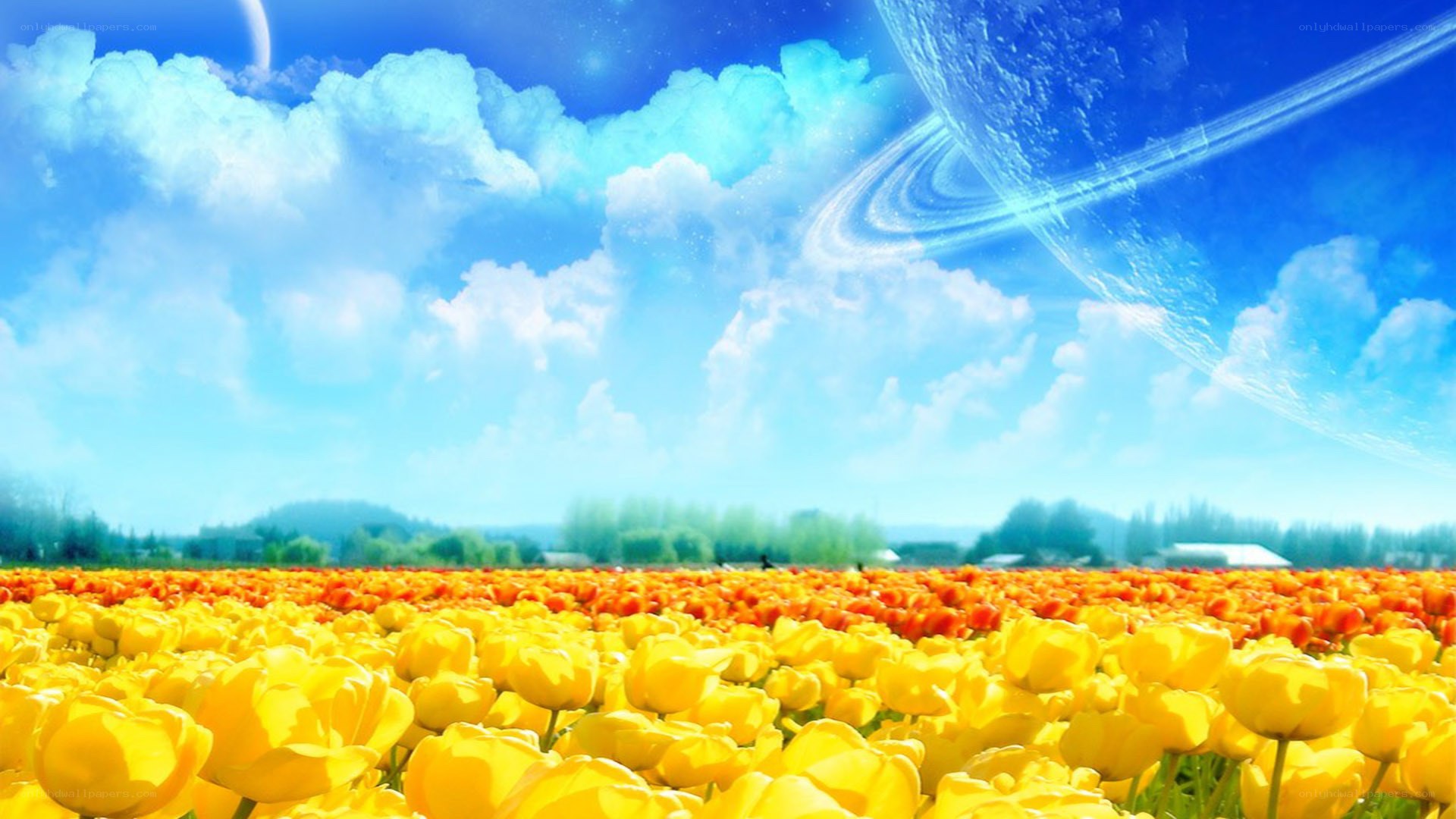 Tulip field under alien sky