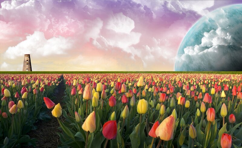 Tulip field with alien planet