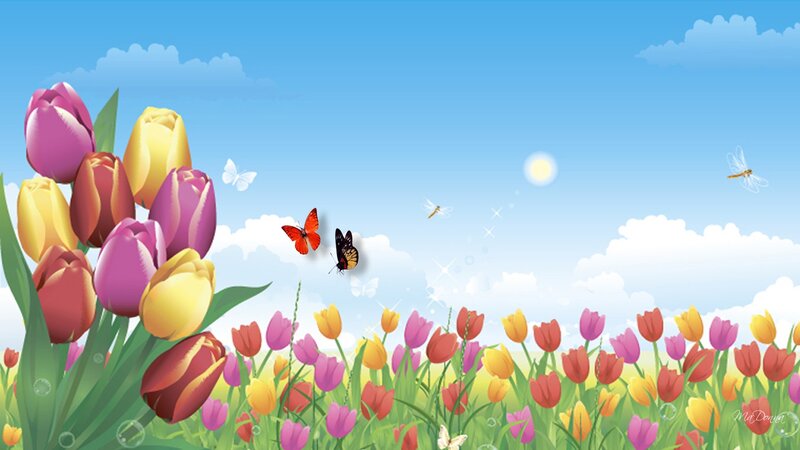 Tulip Field with Butterflies