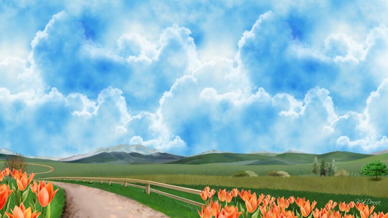 Tulip Field with Dirt Road