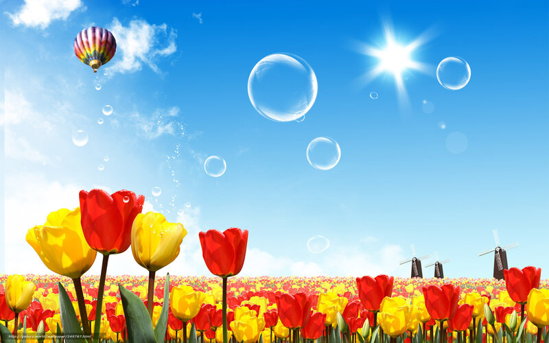 Tulip Field with Hot Air Balloon — Blue