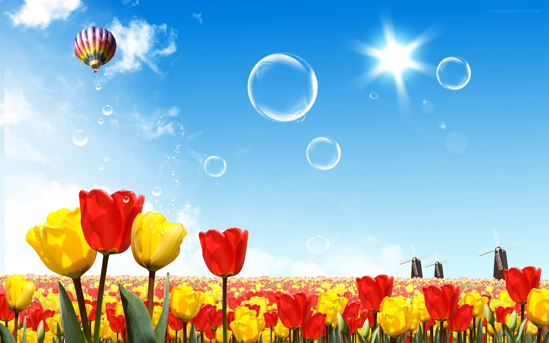 Tulip field with hot air balloon