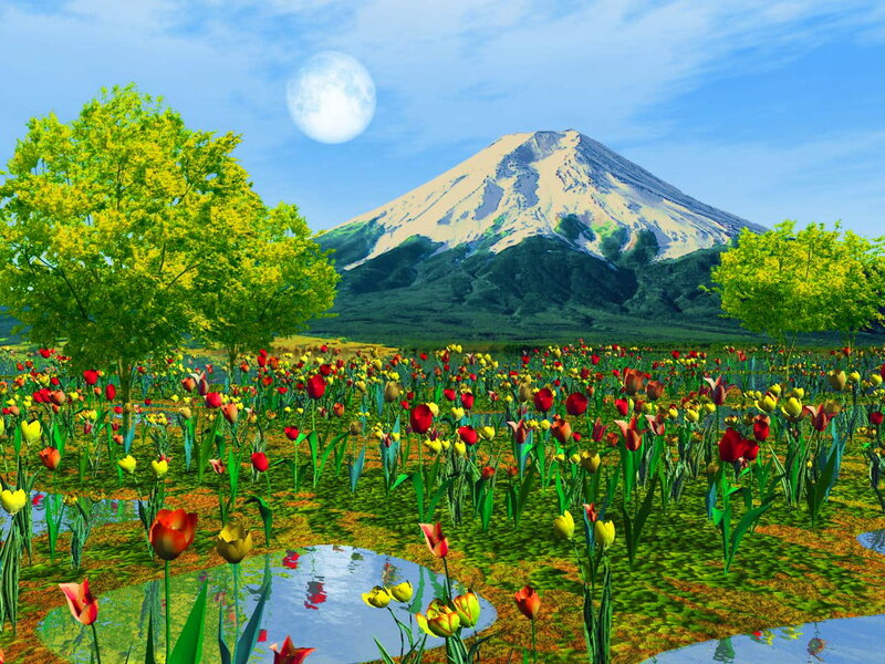 Tulip Field with Mountain