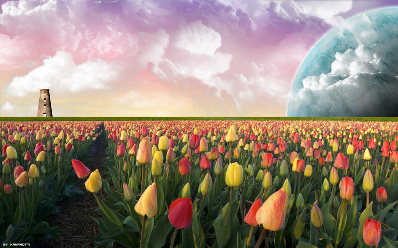 Tulip Field with Planet — Pink, Dreamy
