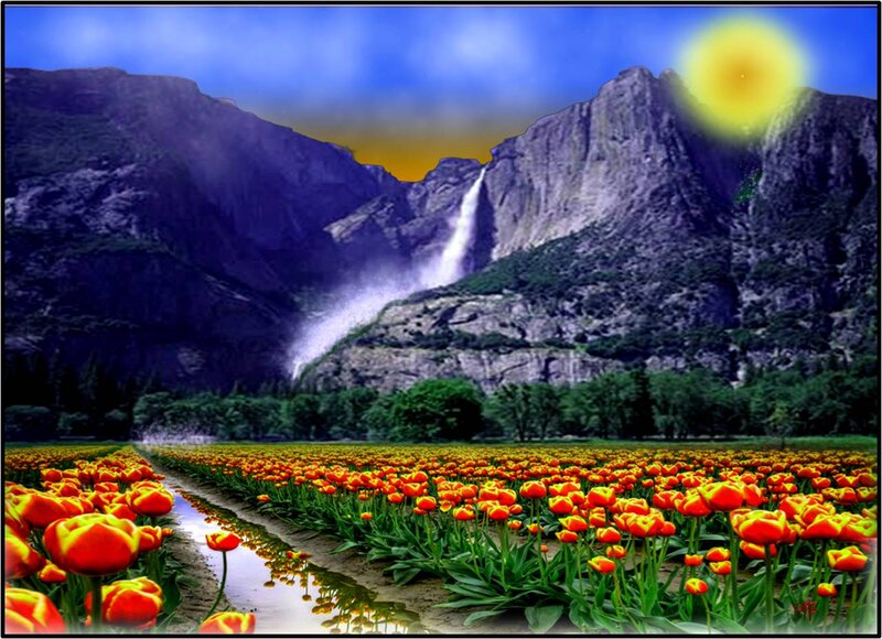 Tulip Field with Waterfall