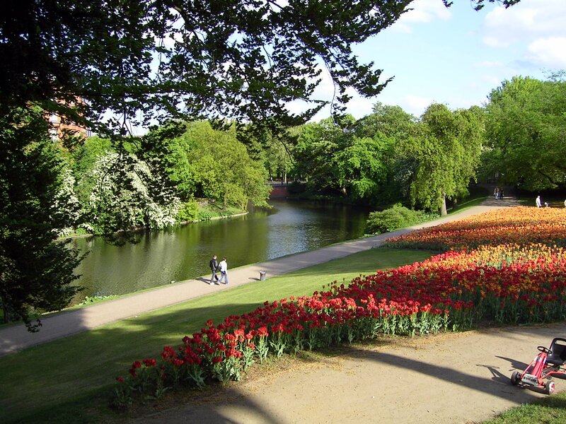 Tulip Fields by River