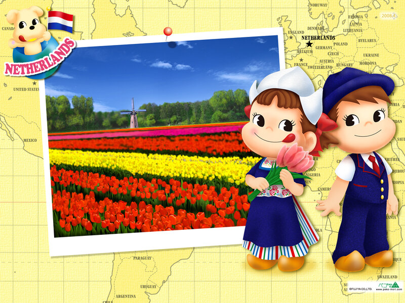 Tulip Fields in Netherlands — Yellow