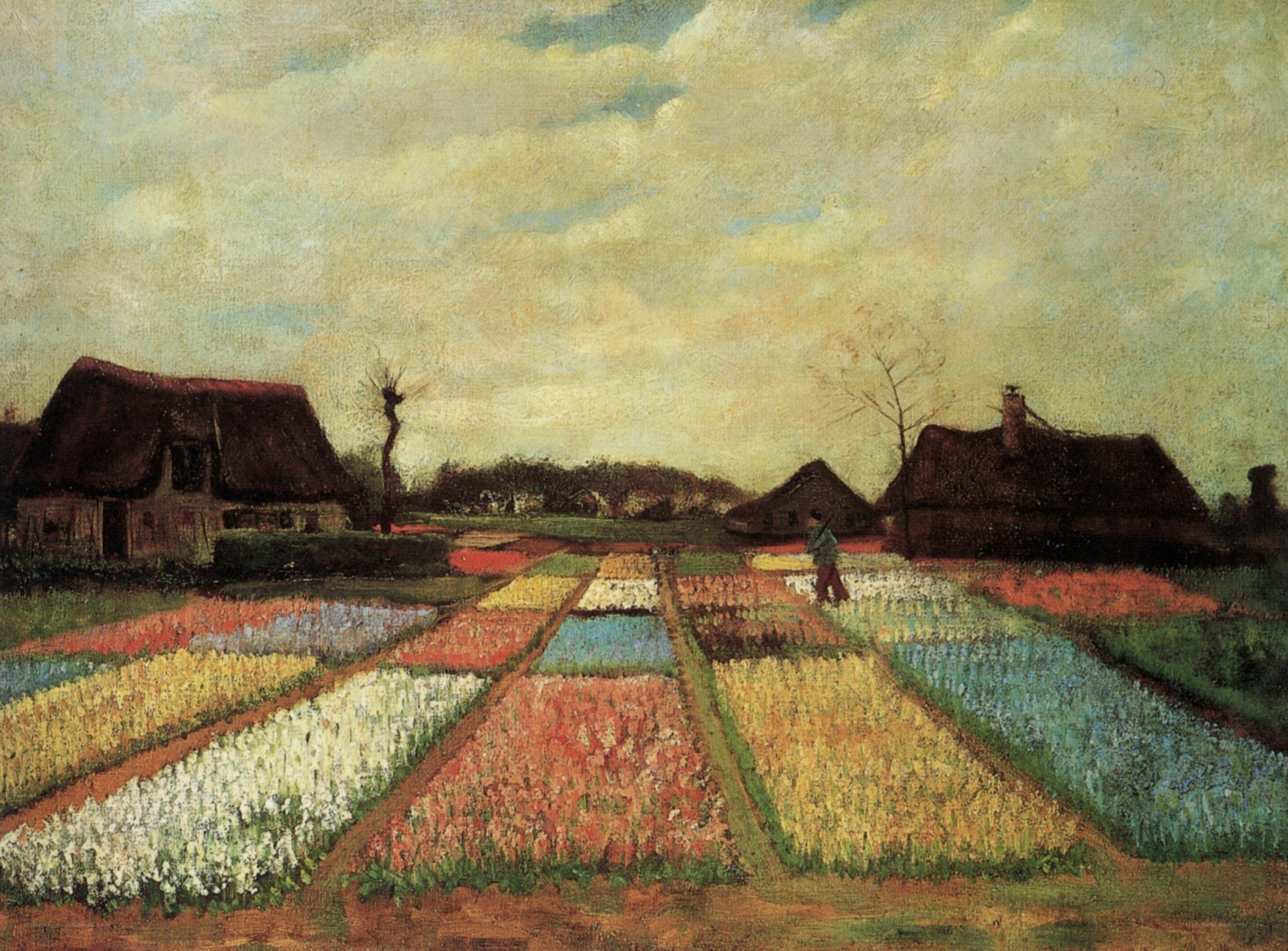 Tulip Fields with Farmhouses