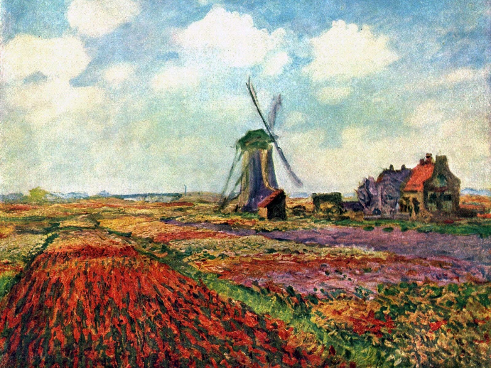 Tulip Fields with Windmill
