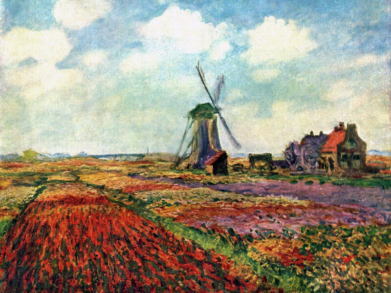 Tulip Fields with Windmill — Red, Serene, Afternoon