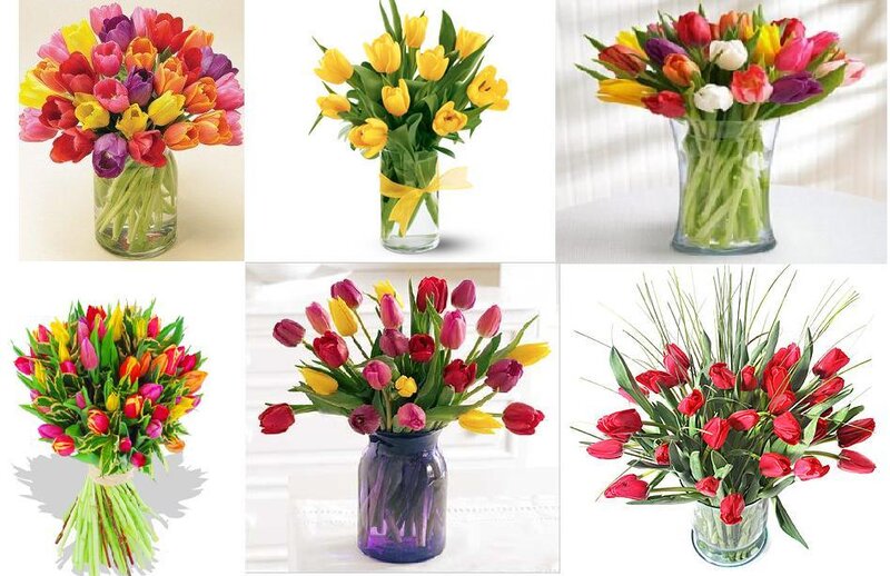 Tulip Flower Arrangements — Yellow, Bright, Photograph