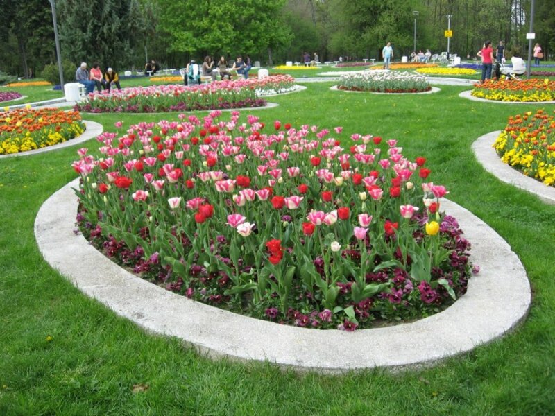Tulip Flower Bed — Green