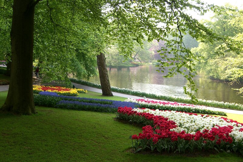 Tulip Flower Beds — Green