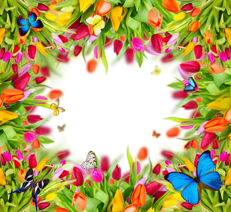 Tulip Flowers and Butterflies — Green