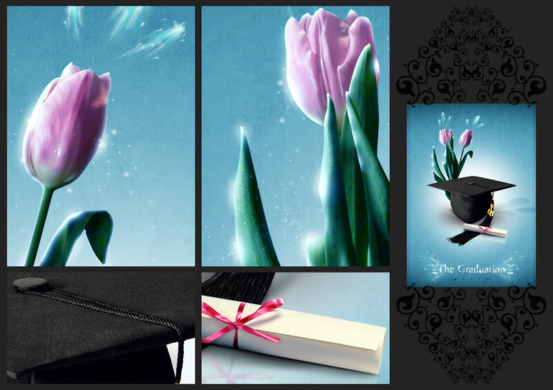 Tulip Flowers and Graduation Cap