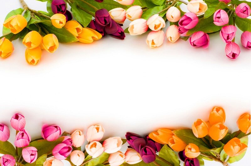 Tulip Flowers Border — Pink, Bright
