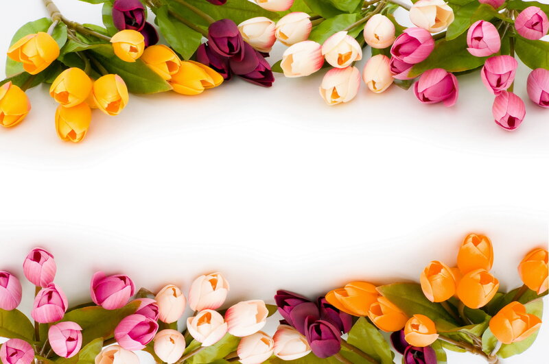 Tulip Flowers Border