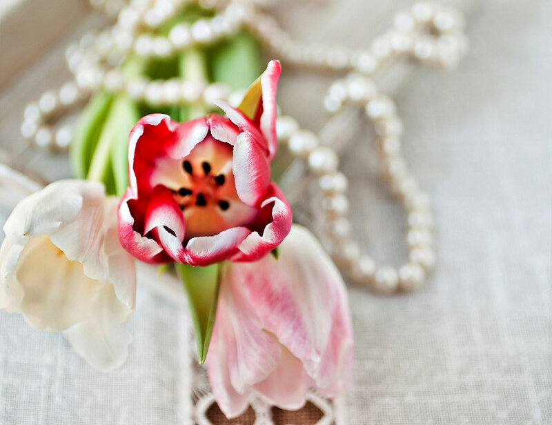 Tulip Flowers with Pearls