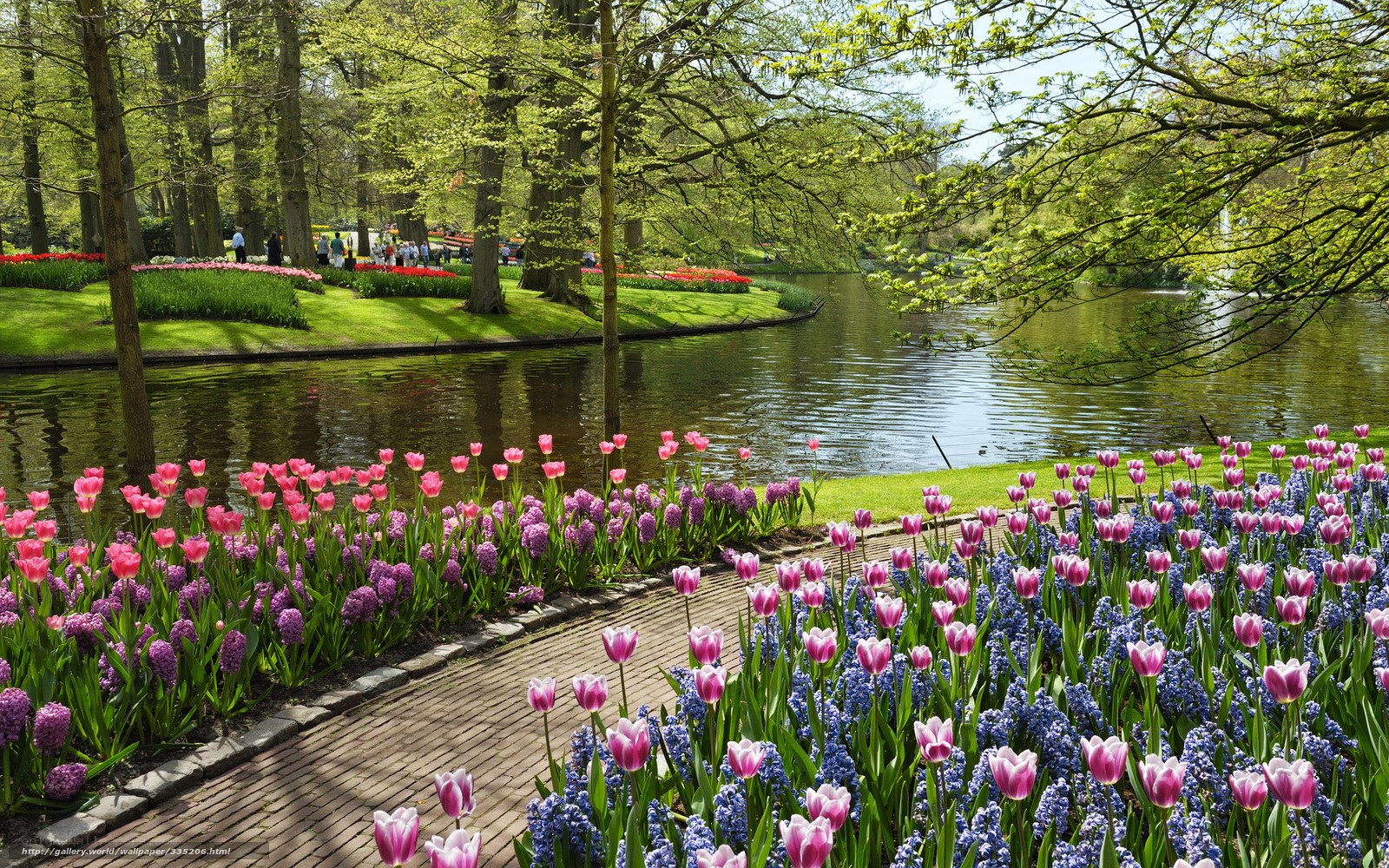 Tulip garden by the lake