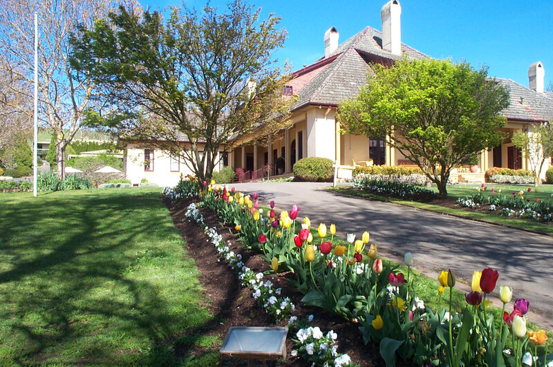 Tulip Garden in Front of Building