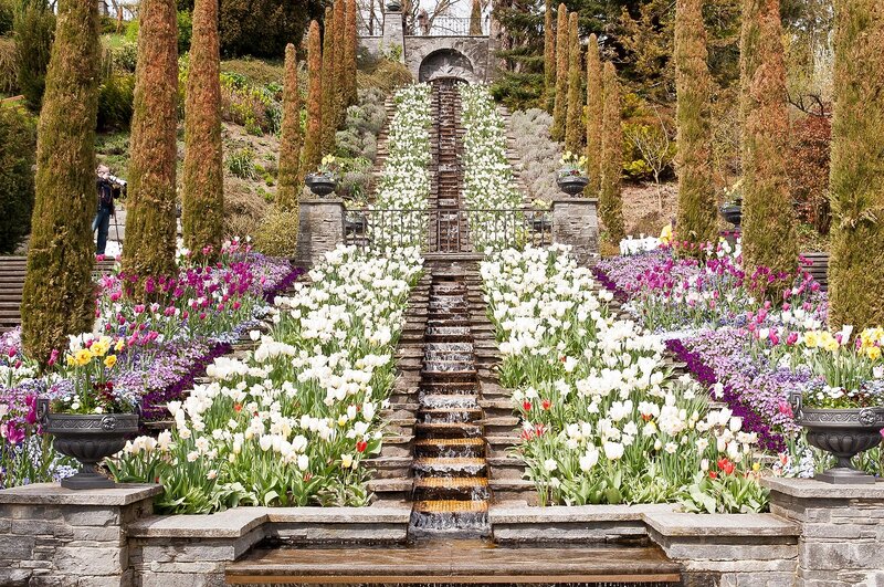 Tulip Garden Staircase