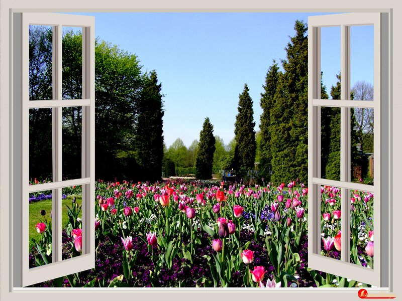Tulip Garden View