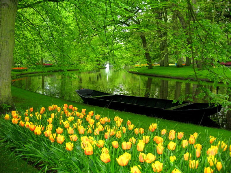 Tulip Garden with Boat