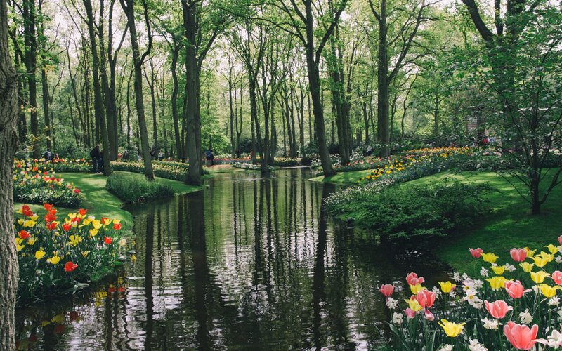 Tulip Garden with Canal — Green