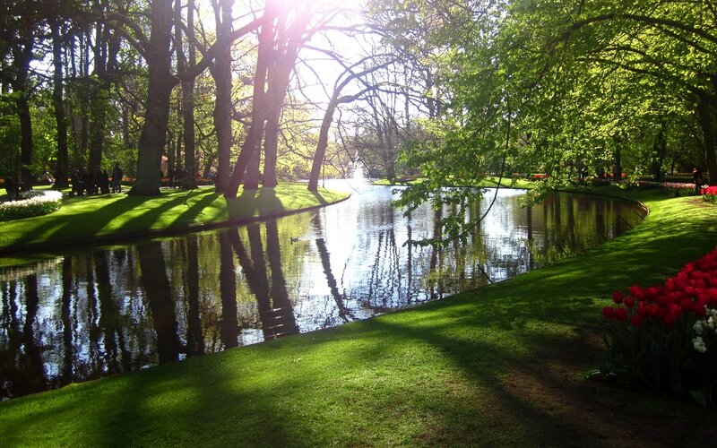 Tulip Garden with Canal