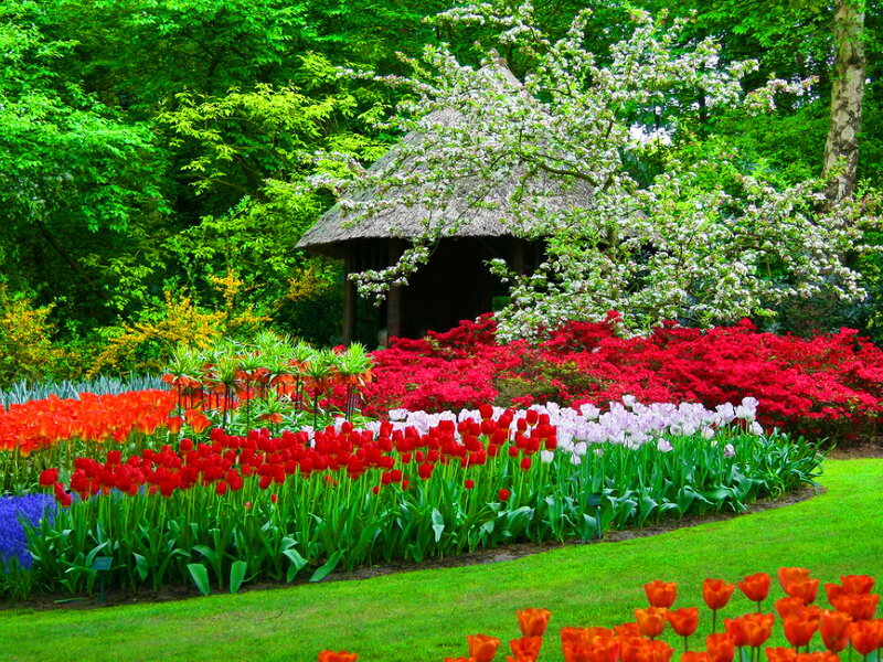 Tulip Garden with Gazebo — Green