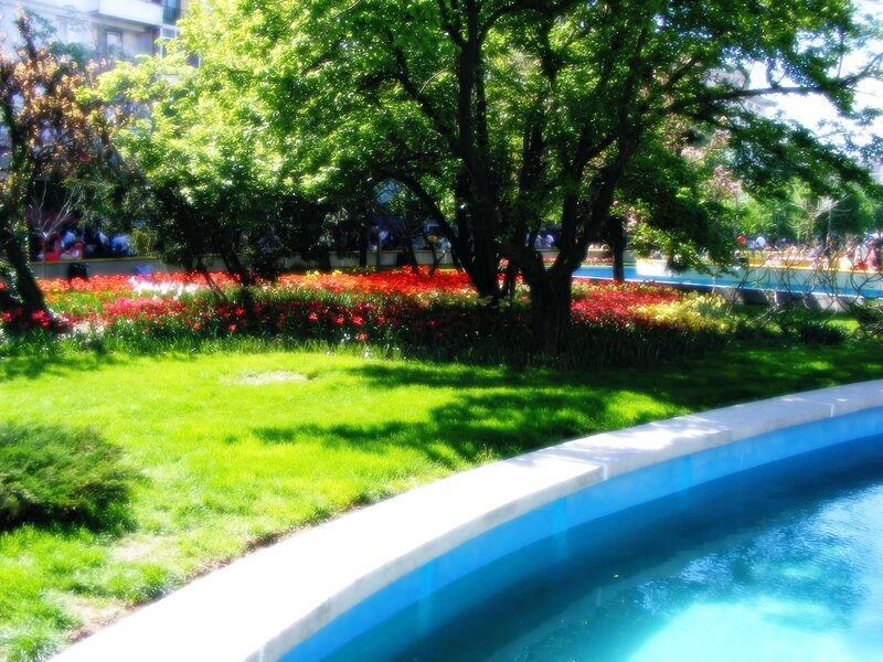 Tulip Garden with Pond — Green