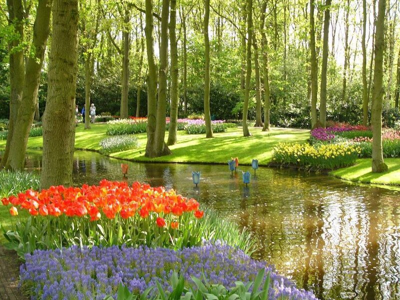 Tulip Garden with Pond — Red, Serene