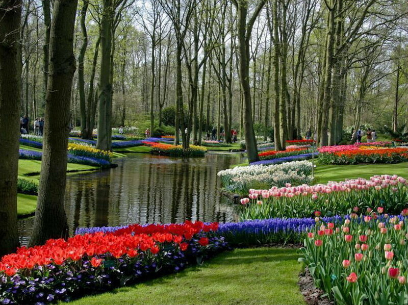 Tulip Garden with Pond — Red